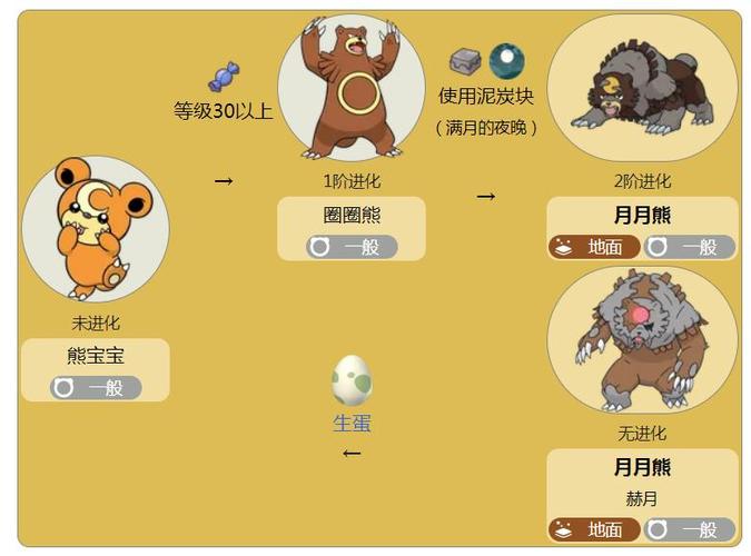 熊宝宝宝可梦