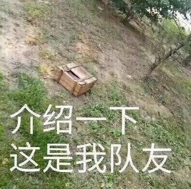 吃鸡队友骂人怎么回骂
