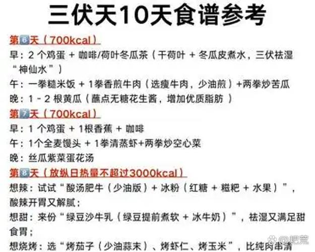 三伏天一共有多少天截图