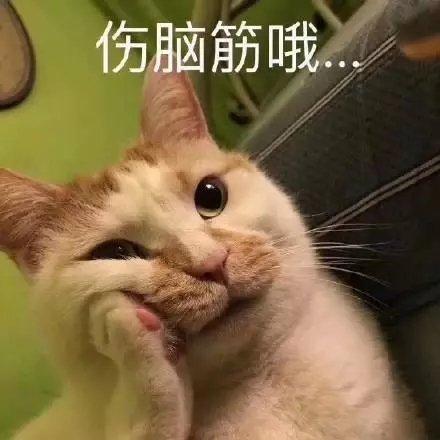 太难了表情包