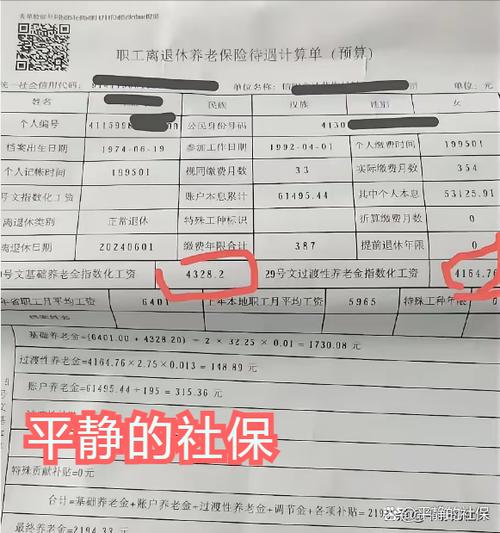 河南税务养老保险