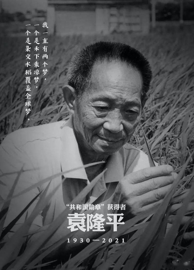 鸿文的骄傲截图