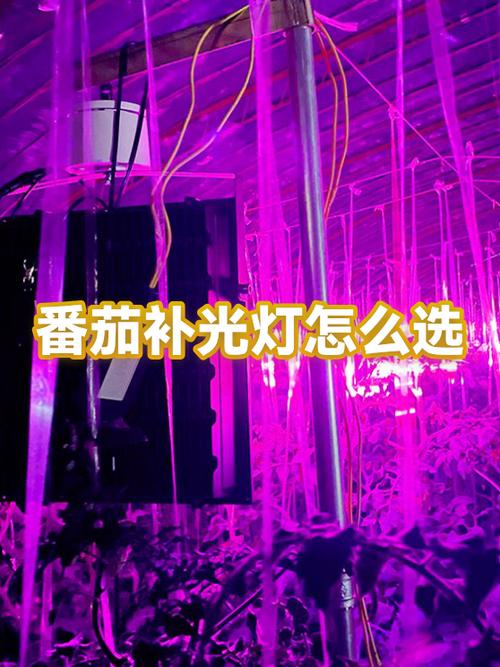 补光灯和台灯的区别在哪里
