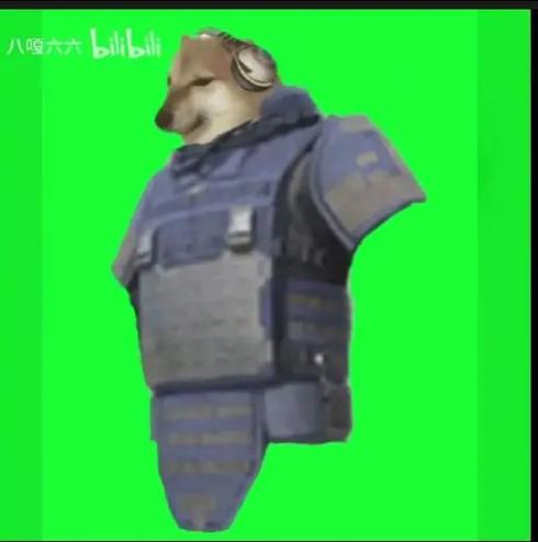 PUPG3.0.0
