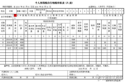 个人所得税正确填写模板截图