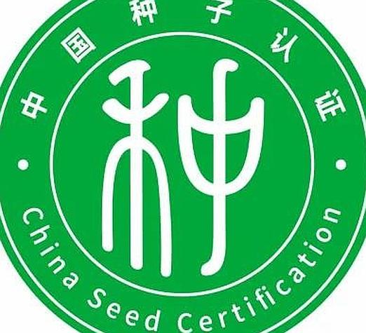 找种子轮融资还没注册公司截图