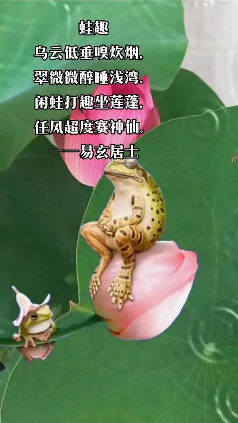 山山和蛙总搞笑视频
