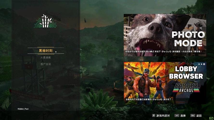 孤岛惊魂dlc