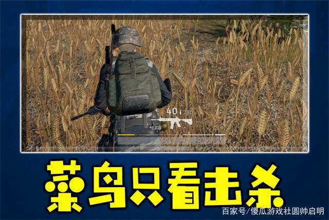 如何判断玩家水平高低图标