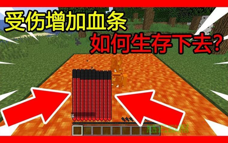 我的世界加血指令
