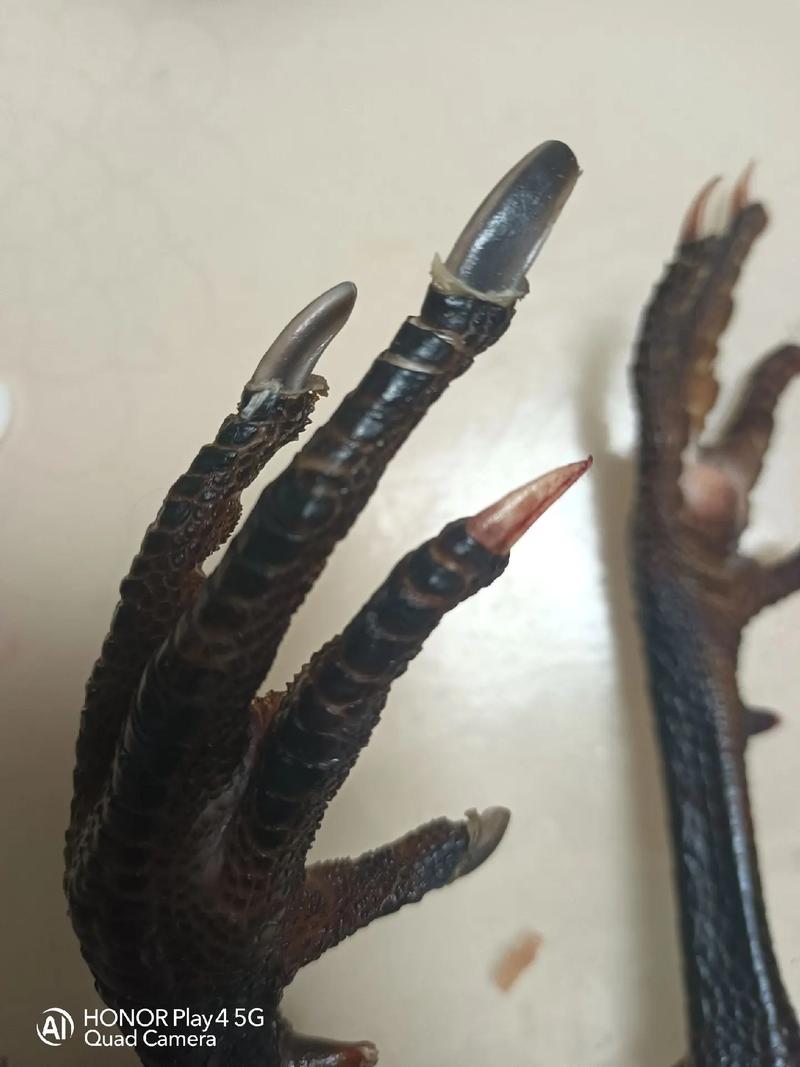 手赚之家官网
