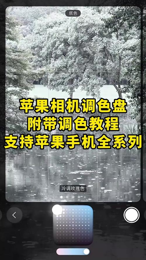苹果手机拍照调色参数图标