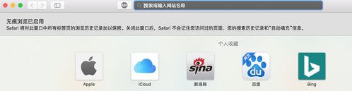 safari 无痕模式