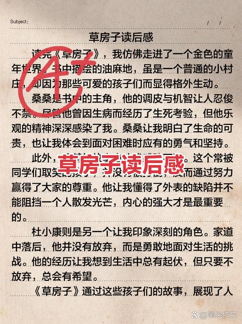 草根人生免费阅读