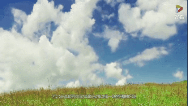 若尔盖海拔高度是多少