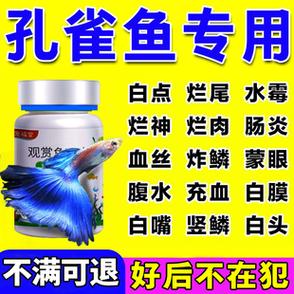 鱼尾巴烂了用什么药治疗