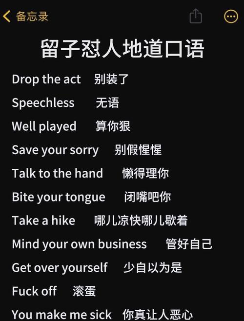 snatch用来骂人的直译截图