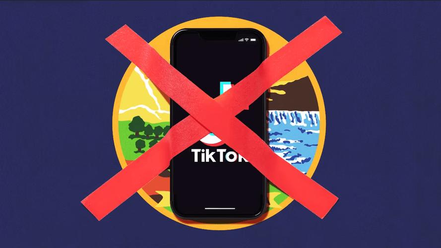 tiktok美国版下载