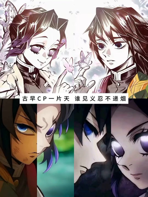 义忍cp图片官图图标