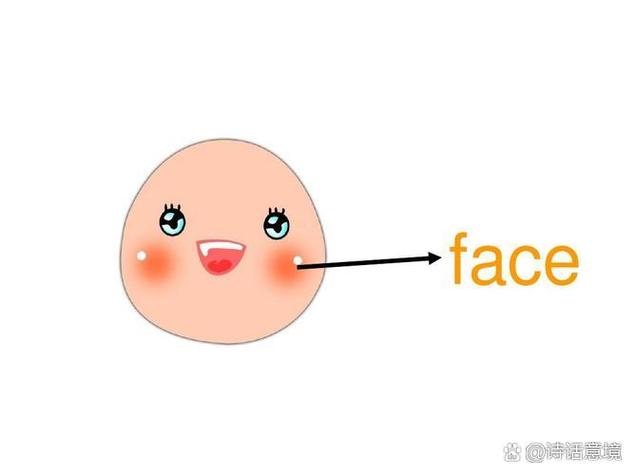 face是脸的意思吗