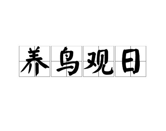 养鸟观日