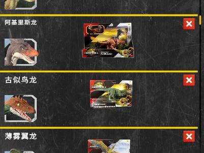 刷龙代码的介绍