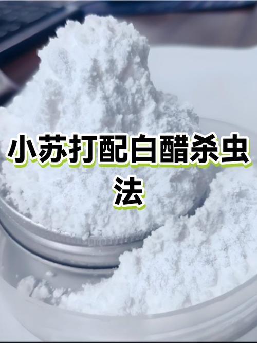 白醋加小苏打杀虫