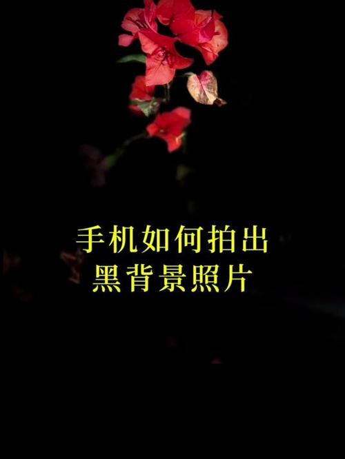 手机怎么给照片加黑底