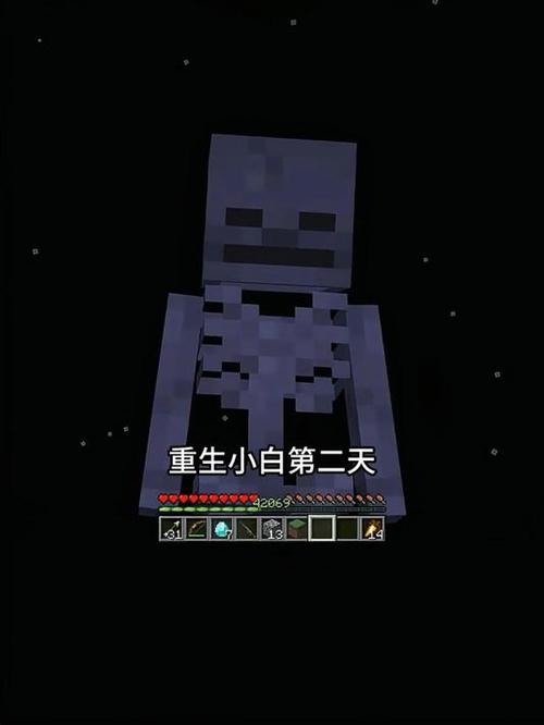 我的世界小白叫什么名字