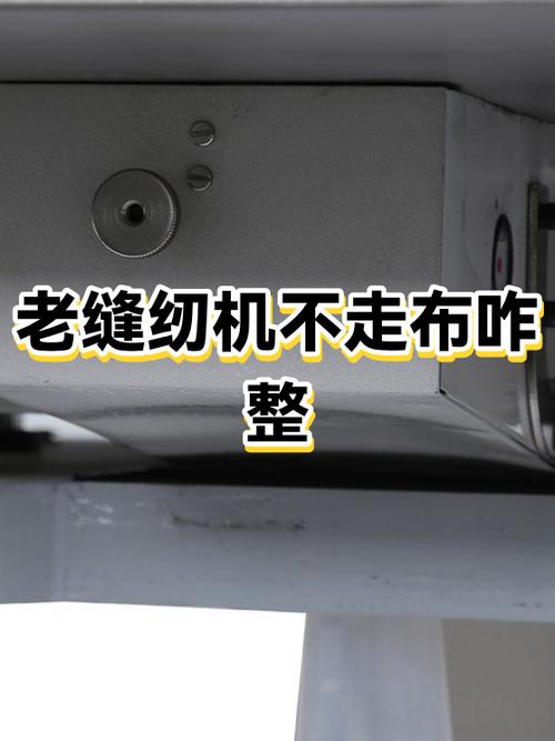 缝纫机不走了什么原因