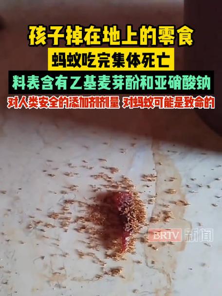 蚂蚊逃