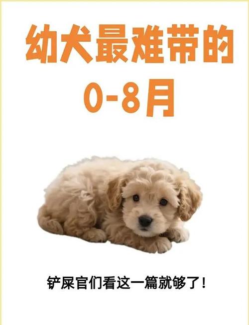 几个月就不是幼犬了截图