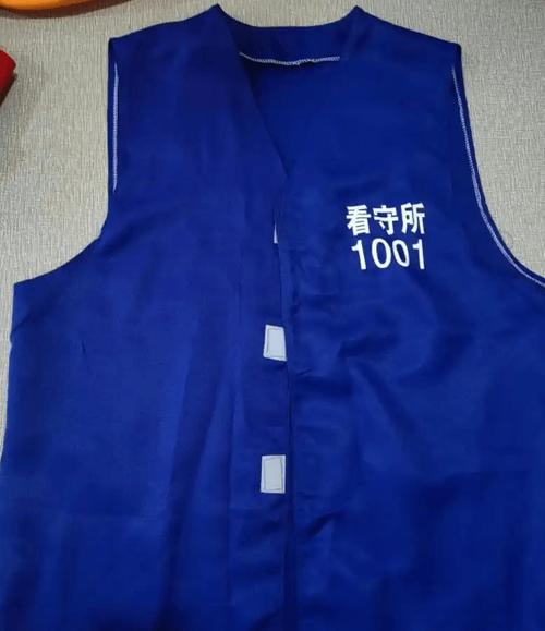 看守所囚服颜色等级游戏截图