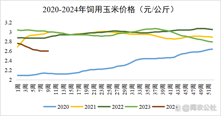现在玉米行情图标