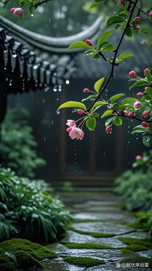 雨幕什么意思啊