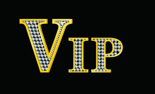 大写的vip怎么写图标
