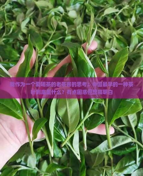 天目神茶