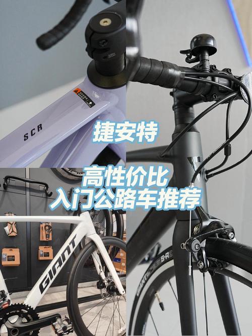 捷安特调圈一般多少钱