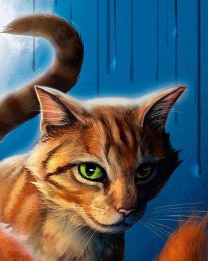 自创猫武士人物