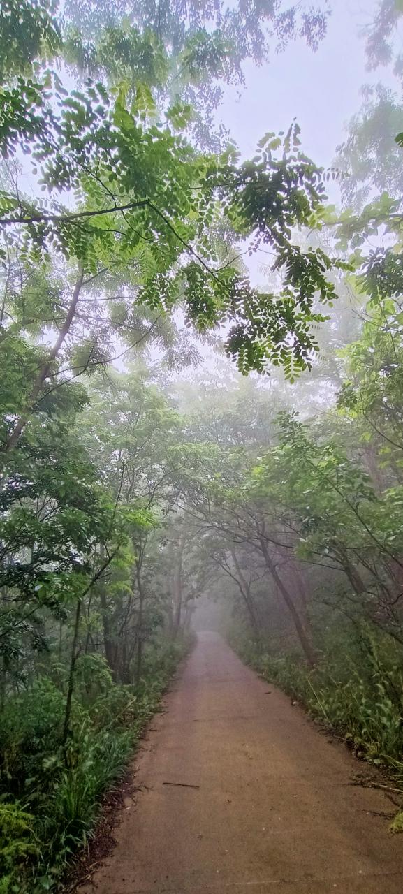 晴雾之后