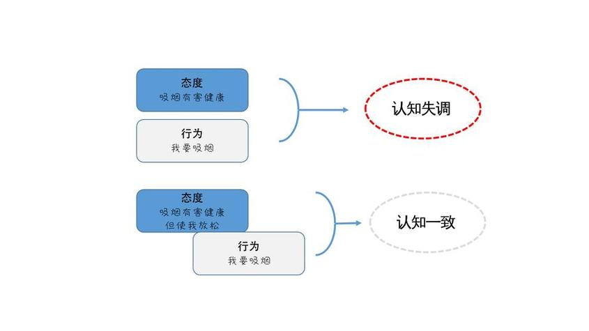 认知—情感系统理论