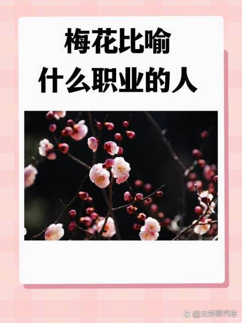 梅花精神的职业