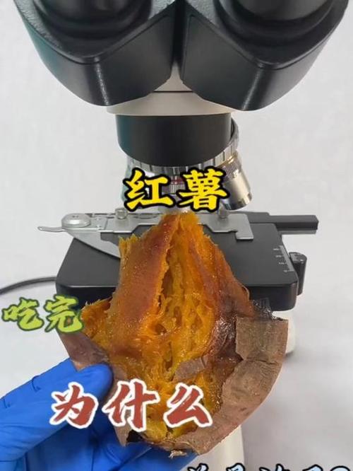 吃红薯放屁好还是不好