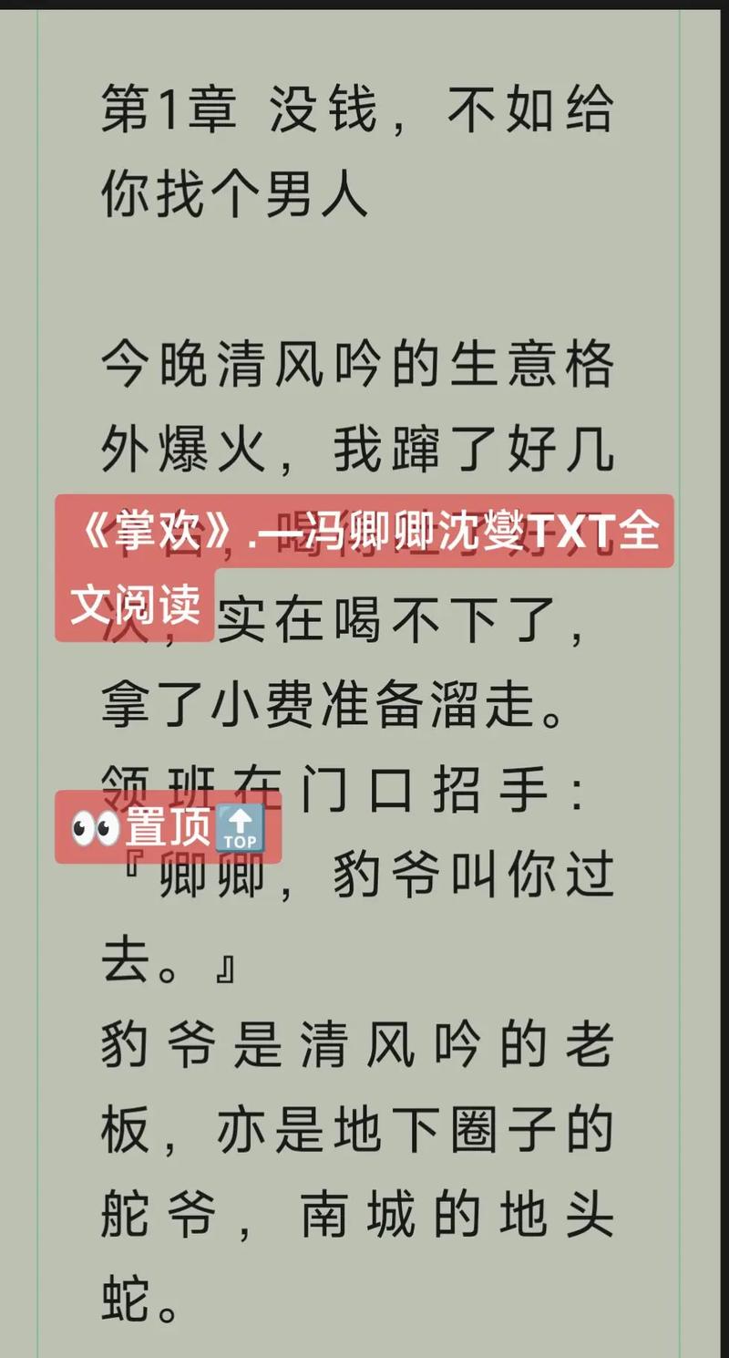 掌欢全文免费阅读最新章节缩略图