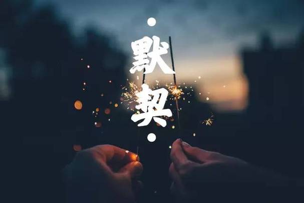 默契图片唯美
