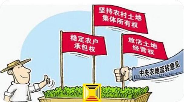 村集体土地所有权归谁