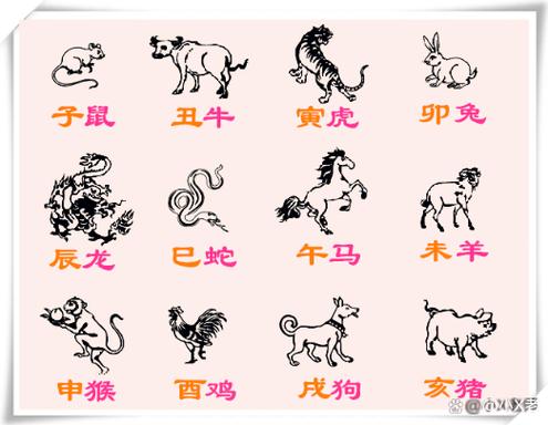 暗最准确生肖是什么图标