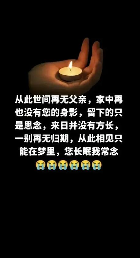 无法接受爸爸突然的离世