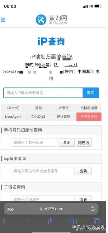 域名查询ip缩略图