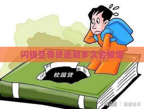 闪银至尊贷贷放款